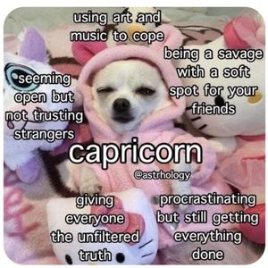 Meet your Posher, Ladym